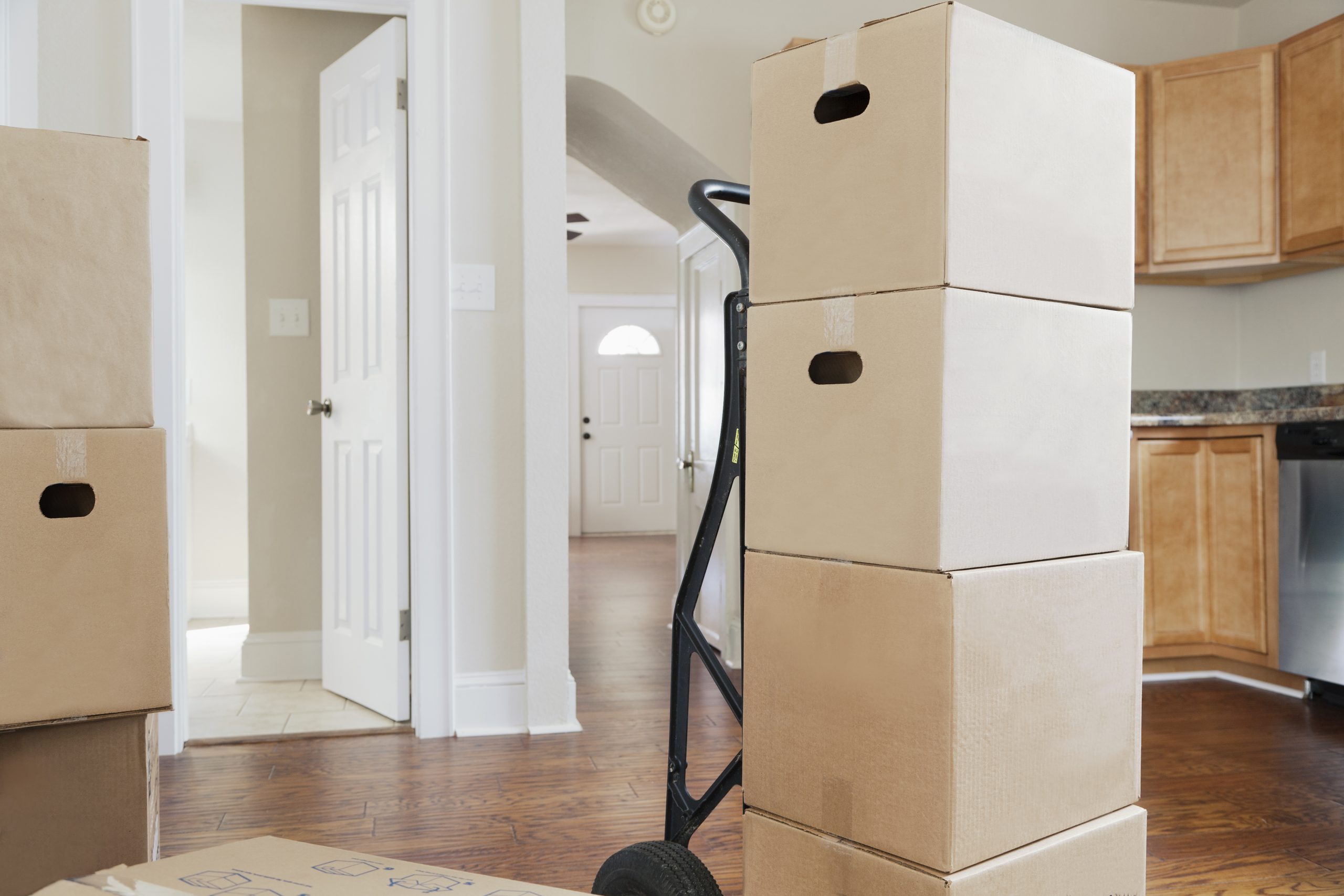 Estanterías metálicas con cajas ordenadas en zona de almacenamiento con luz natural